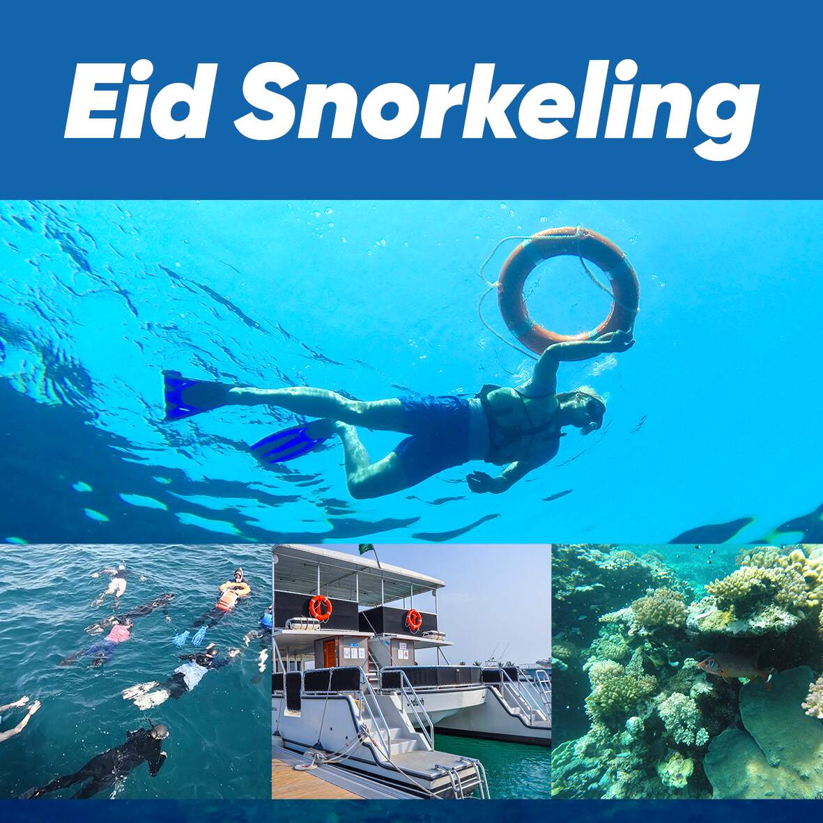 eid-snorkel