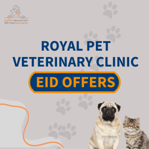 Pet-care-Eid-Offer