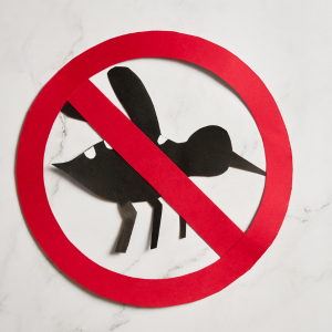 Services-2024-website-thumb (2)