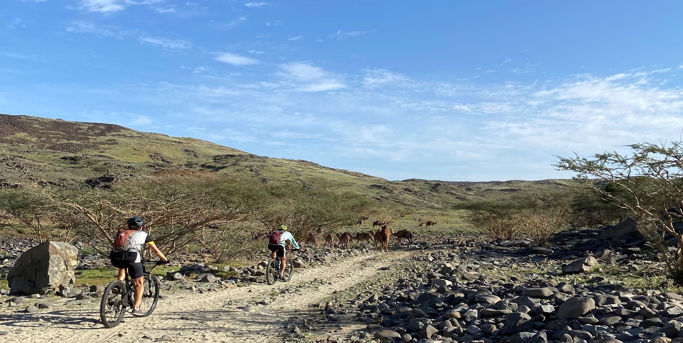 cyclists