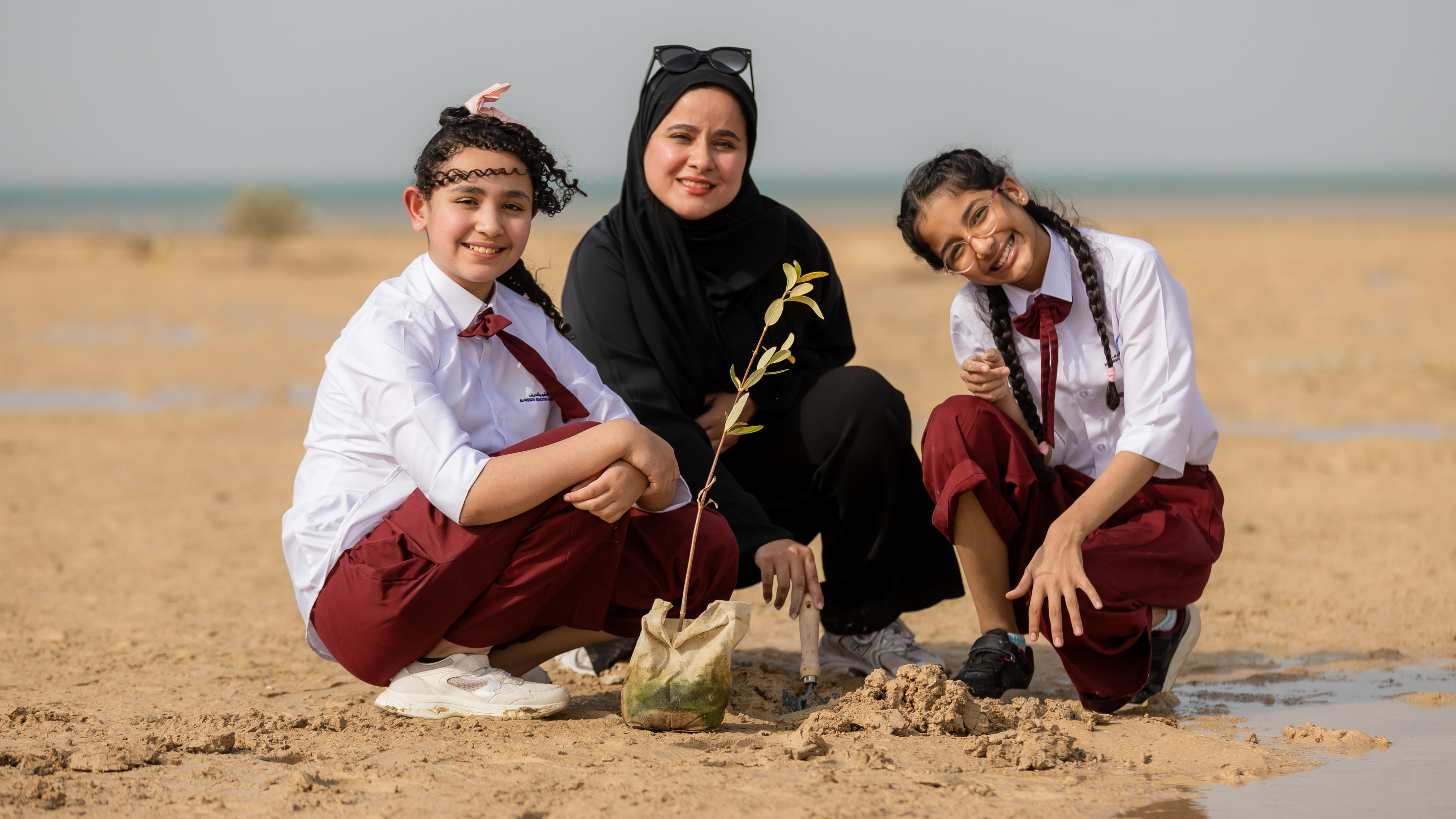 kaust-mangrove-nursery-project-16_6_main