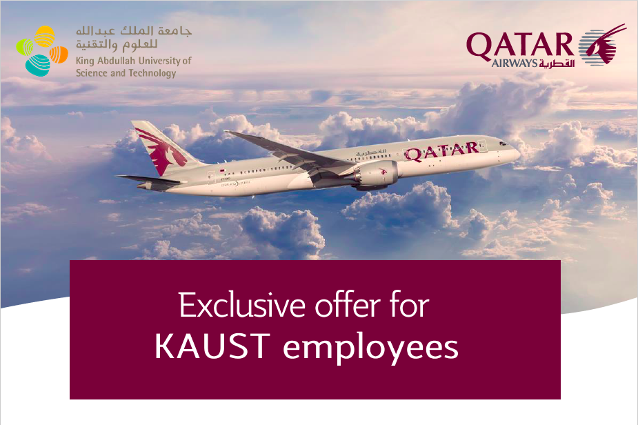 Qatar-offer