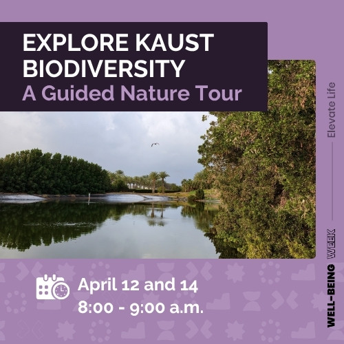 wellbeing-thumbs-Biodiversity